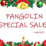 【PANGOLIN】レーザーソフトウェアBEYONDが期間限定特別価格！HOLYDAY SALEスタート！